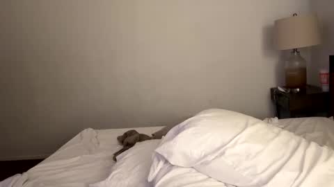 Tennman online show from February 4, 2025, 2:43 pm