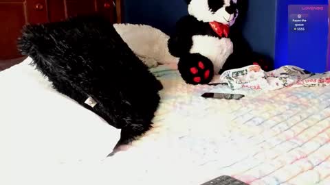 Snapshot of teo_369 chatting on March 11, 2026, 8:26 pm Teo online show from March 11, 2026, 8:26 pm