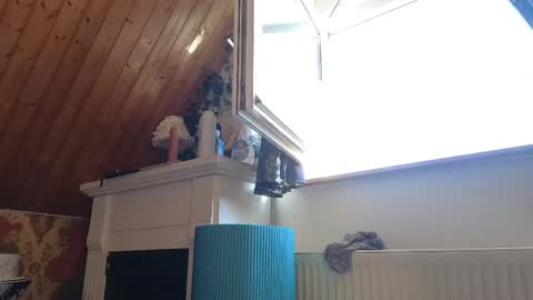 Snapshot of tessawinter chatting on April 26, 2026, 2:04 pm Tessa online show from April 26, 2026, 2:04 pm