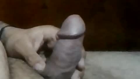 texasbigdaddy63 online show from September 19, 2025, 10:43 pm