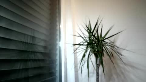 Snapshot of tger2024 chatting on November 3, 2025, 3:57 pm tger2024 online show from November 3, 2025, 3:57 pm