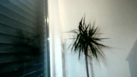 Snapshot of tger2024 chatting on December 1, 2025, 3:06 pm tger2024 online show from December 1, 2025, 3:06 pm