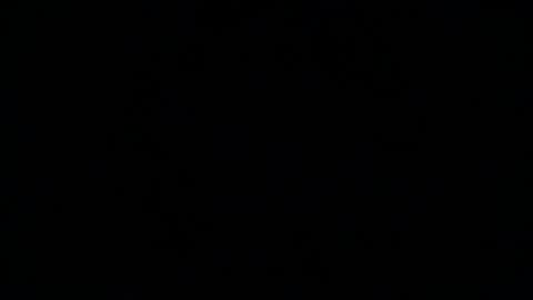 Snapshot of that_one_guy_from_cb chatting on February 6, 2025, 2:55 am Duke online show from February 6, 2025, 2:55 am