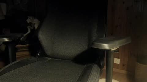 Snapshot of that_swiss_guy chatting on February 10, 2025, 9:58 pm that_swiss_guy online show from February 10, 2025, 9:58 pm