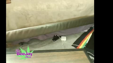 Snapshot of thebeejayshow chatting on May 23, 2026, 1:48 pm TheBeeJayShow online show from May 23, 2026, 1:48 pm