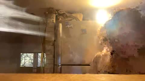 Come Have Fun online show from February 11, 2026, 7:30 pm