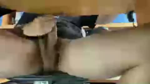 Snapshot of thecamenjoyer24 chatting on June 12, 2026, 12:26 pm thecamenjoyer24 online show from June 12, 2026, 12:26 pm