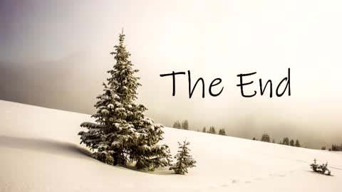 thedome372 online show from March 3, 2025, 10:42 pm