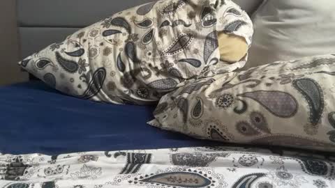 theeshooterr online show from December 5, 2024, 6:22 pm