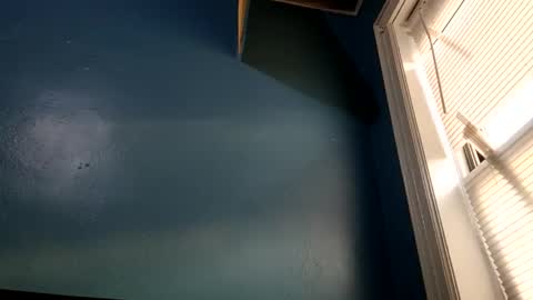 Snapshot of thehardestny1 chatting on February 15, 2026, 12:47 pm thehardestny1 online show from February 15, 2026, 12:47 pm