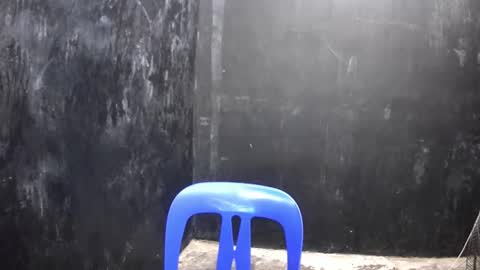 Snapshot of thehugecomeback chatting on March 10, 2025, 2:37 pm Xerxis online show from March 10, 2025, 2:37 pm