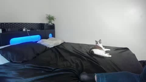 Johnny Stone online show from April 22, 2026, 11:39 pm