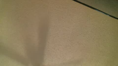 Daisy and Tim online show from October 19, 2025, 3:51 am