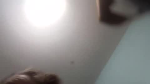 thetinyturtle online show from January 15, 2026, 12:04 am