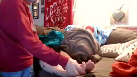 Snapshot of theycallmemellowthebreeze chatting on December 28, 2024, 12:04 am mellow online show from December 28, 2024, 12:04 am