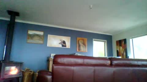 Snapshot of thickcockat71 chatting on July 25, 2026, 8:17 pm Thickcockat71 online show from July 25, 2026, 8:17 pm