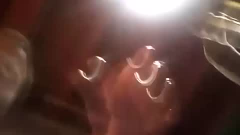 thickdick513 online show from December 21, 2024, 1:10 pm