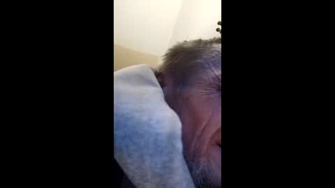 tibed1968836757 online show from February 15, 2026, 8:49 pm