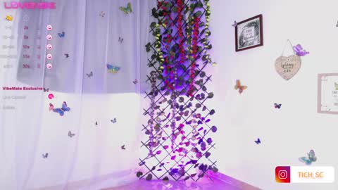 Snapshot of tich__ chatting on December 21, 2024, 12:16 pm TICH online show from December 21, 2024, 12:16 pm