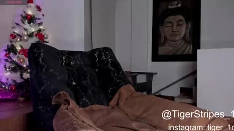Snapshot of tigerstripes_ chatting on December 29, 2024, 3:22 am Chris online show from December 29, 2024, 3:22 am