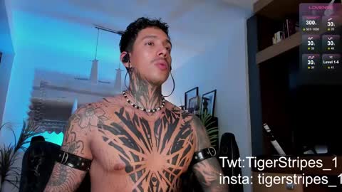 Snapshot of tigerstripes_ chatting on February 22, 2025, 4:40 am Chris online show from February 22, 2025, 4:40 am