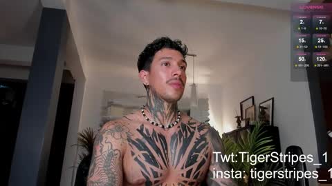 Snapshot of tigerstripes_ chatting on February 28, 2025, 12:43 am Chris online show from February 28, 2025, 12:43 am