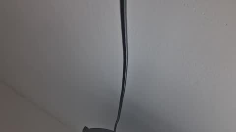 tiko392 online show from April 10, 2026, 10:20 am