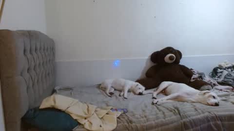 tini_mix206927 online show from April 18, 2026, 8:31 pm