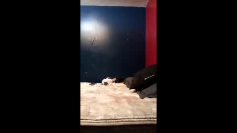 tinycock74478 online show from March 19, 2026, 10:03 pm