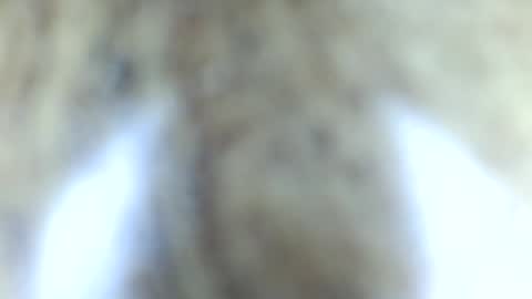 Snapshot of tinypecker6 chatting on June 8, 2026, 5:57 pm tinypecker6 online show from June 8, 2026, 5:57 pm