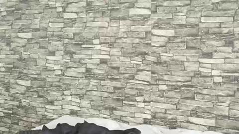 Tokyo online show from January 5, 2026, 7:39 pm