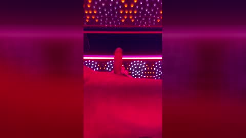 tomandnika online show from April 11, 2026, 9:02 am