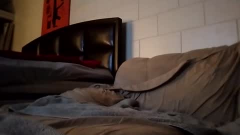 Snapshot of tomthebomb347 chatting on September 14, 2025, 10:20 pm tomthebomb347 online show from September 14, 2025, 10:20 pm