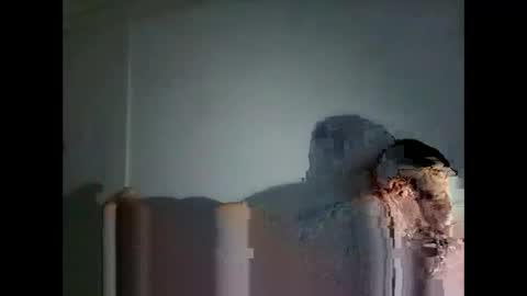 Snapshot of tonny54880 chatting on January 31, 2026, 7:11 pm tonny54880 online show from January 31, 2026, 7:11 pm