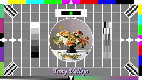 Tony V online show from October 14, 2025, 9:54 am