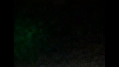 Snapshot of tonydigitt chatting on January 4, 2025, 10:05 am tonyd online show from January 4, 2025, 10:05 am