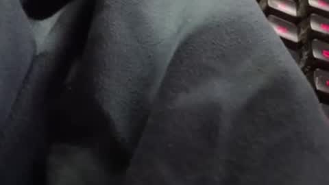 tonysafari online show from February 27, 2025, 1:38 pm