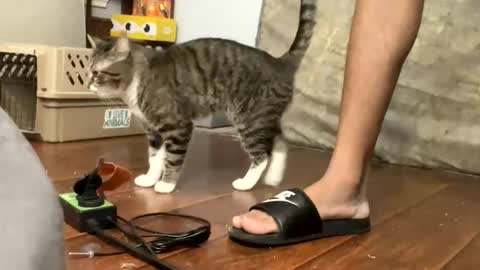 TopTierDrippa online show from March 3, 2026, 12:11 pm