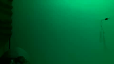 MisterXxX online show from November 23, 2025, 3:17 am