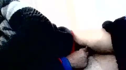 torresurionasantos online show from February 2, 2026, 5:22 pm