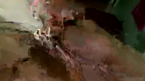 toung2pussycockinyourass online show from March 29, 2026, 11:05 pm