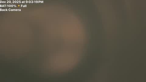 Fembttom online show from December 21, 2025, 3:02 am