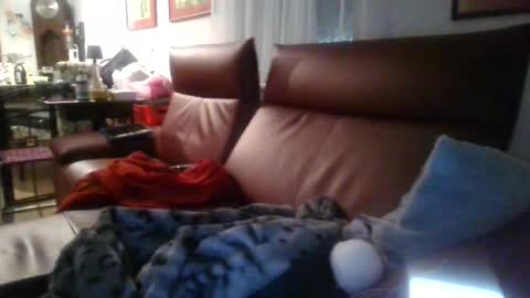 Snapshot of trebgeis1 chatting on April 19, 2026, 3:39 am trebgeis1 online show from April 19, 2026, 3:39 am