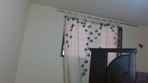 trebol_4 online show from July 11, 2026, 6:54 pm