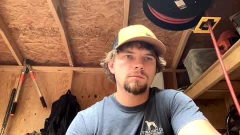 Snapshot of treeman817 chatting on June 11, 2026, 11:14 pm treeman817 online show from June 11, 2026, 11:14 pm