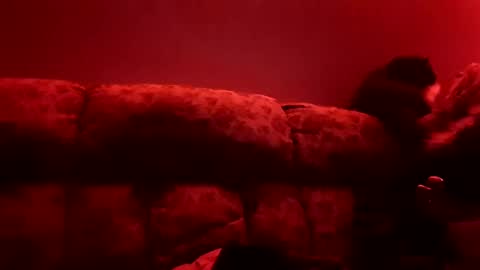 Snapshot of tretrix5588 chatting on January 3, 2025, 10:09 am tretrix5588 online show from January 3, 2025, 10:09 am