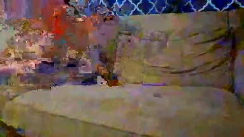 trex23rd online show from December 2, 2025, 9:54 pm