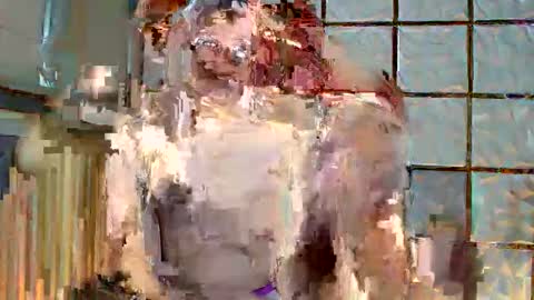 trixie_foxslut online show from February 12, 2026, 11:05 am