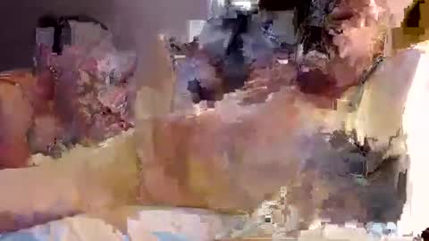 trojanswingers online show from February 11, 2025, 5:29 pm