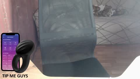 Snapshot of trone41 chatting on December 18, 2024, 2:53 am I POST MY FUCKING VIDEOS AND PICS online show from December 18, 2024, 2:53 am